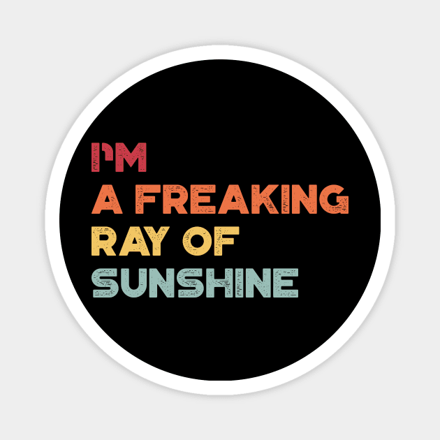 I'm A Freaking Ray Of Sunshine Sunset Funny Magnet by truffela